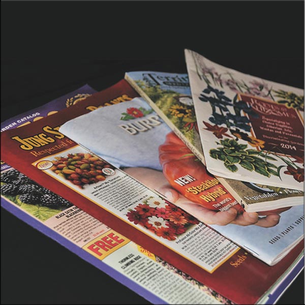 Catalogue Printing sample